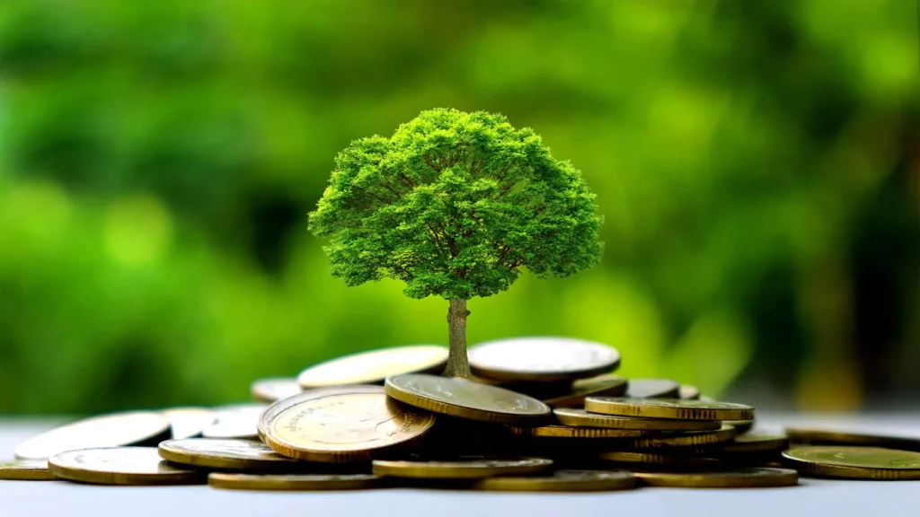 LDDS : Fonctionnement, avantages et plafond en 2025.