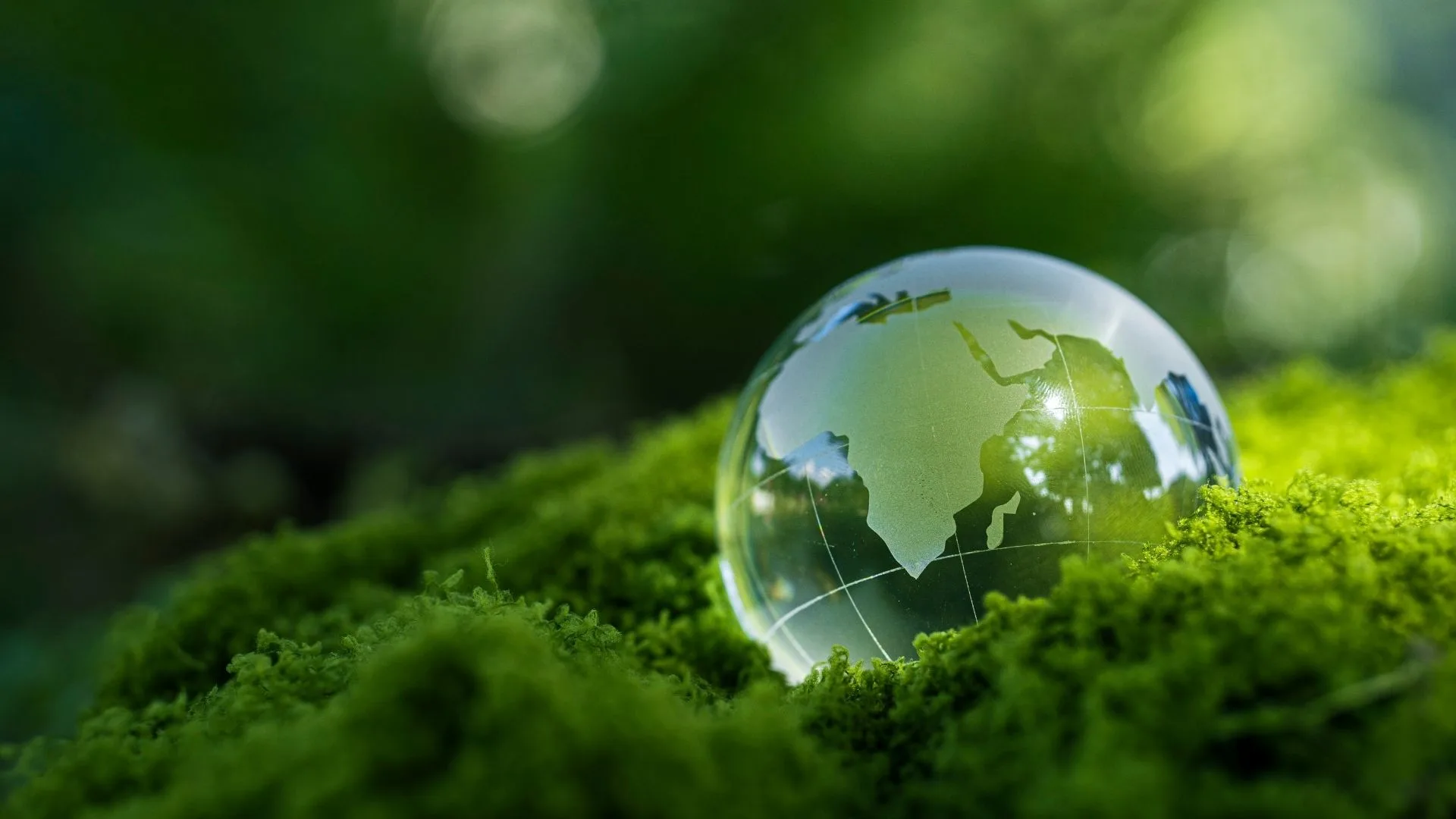 Lire la suite à propos de l’article Investissement ESG : définition, stratégies et avantages en 2025.