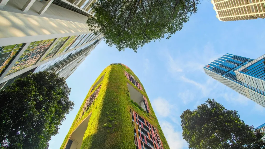 SCPI démembrement : stratégies et fiscalité en 2025.