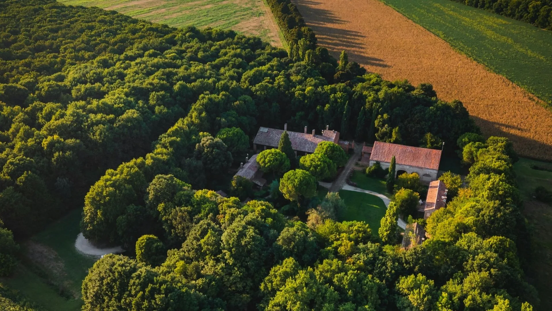 Lire la suite à propos de l’article Valeur usufruit : définition, barème fiscal, valeur et réglementation.