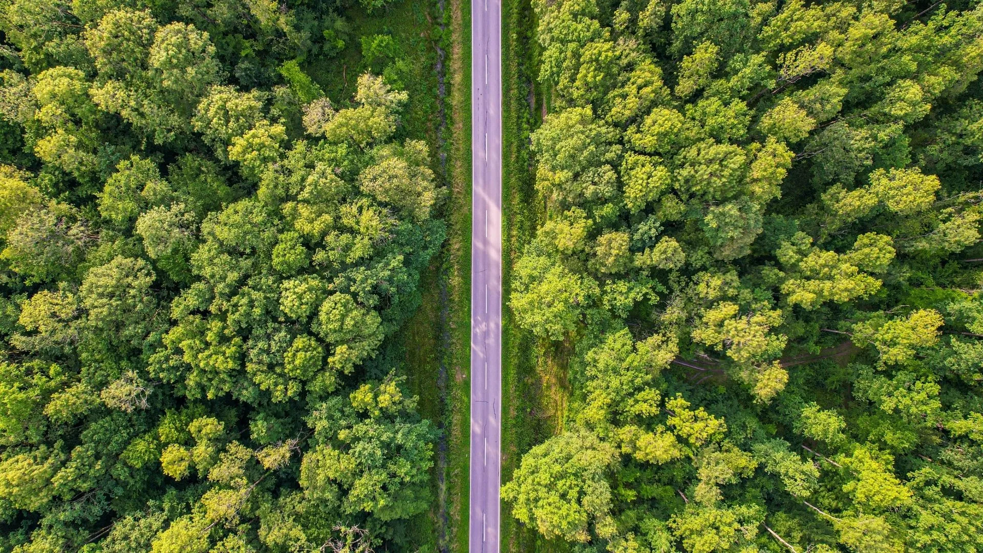 Lire la suite à propos de l’article Succession assurance vie : fiscalité et optimisation 2026.