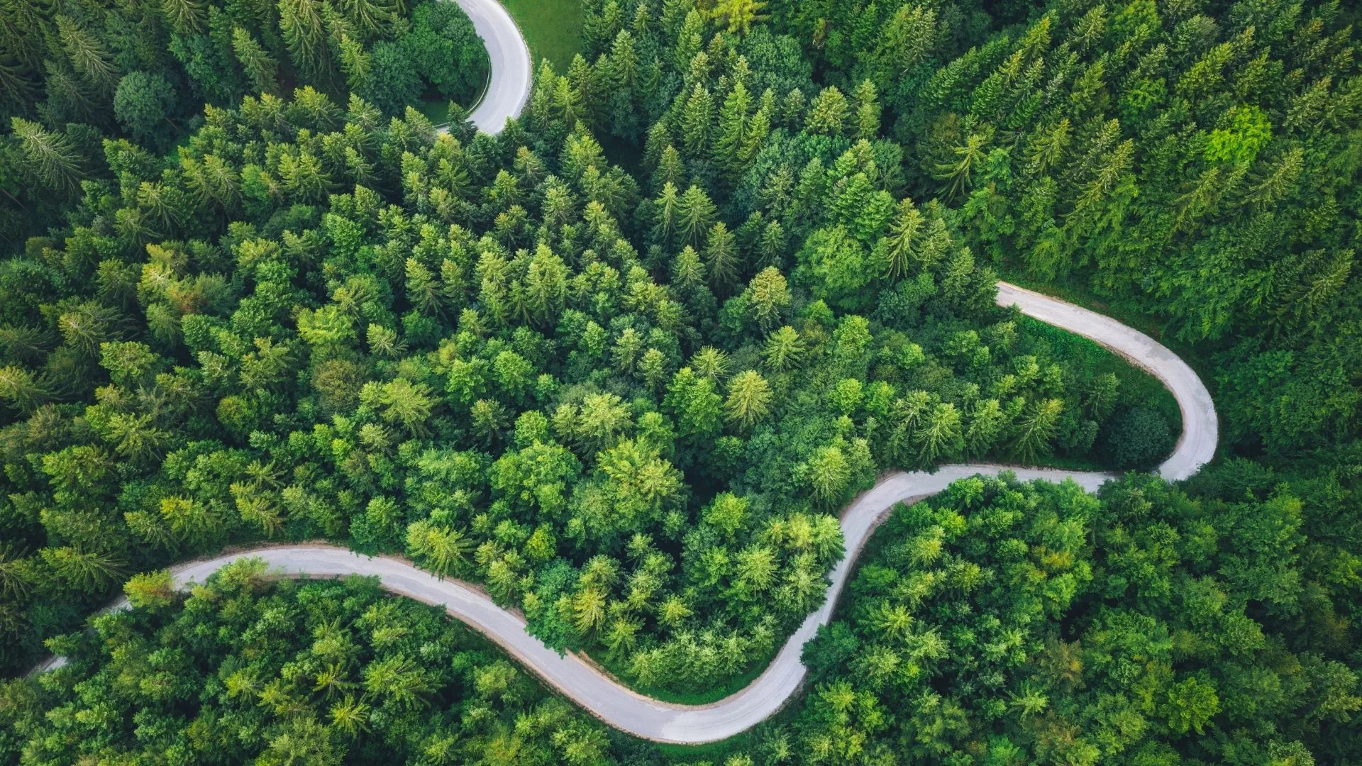 Lire la suite à propos de l’article Succession renonciation : définition, effets et stratégies.