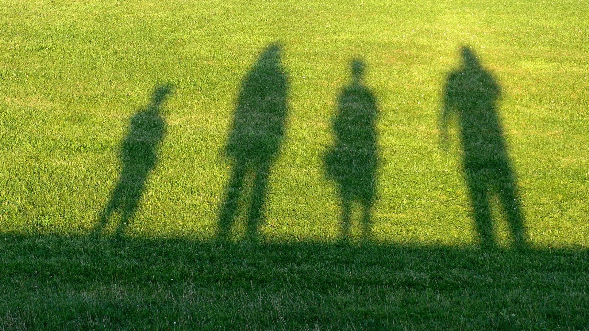 Lire la suite à propos de l’article Succession démembrement : fonctionnement, stratégies, fiscalité.