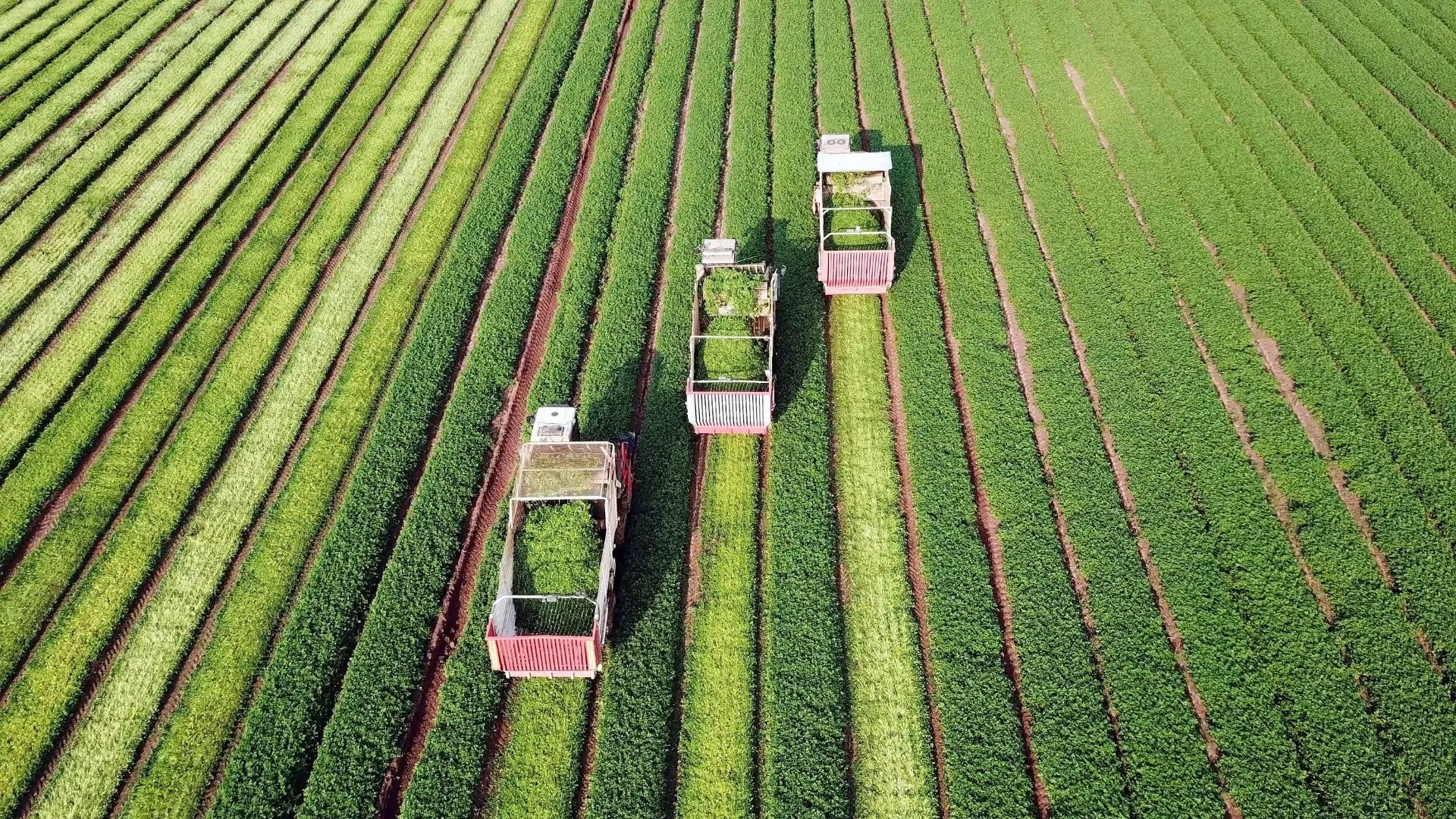Lire la suite à propos de l’article Girardin agricole : choses à savoir avant d&rsquo;investir 2026.